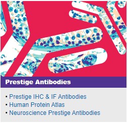 Prestige Antibodies